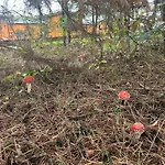 Zacisze Obok Suntago Park ホリデーパーク *