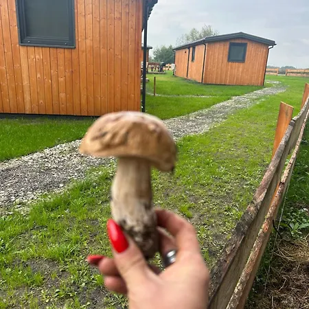 Zacisze Obok Suntago Park Holiday park