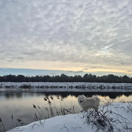 Zacisze Obok Suntago Park Üdülőpark