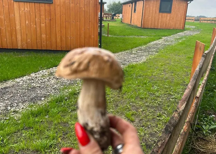 Zacisze Obok Suntago Park Kompleks wypoczynkowy